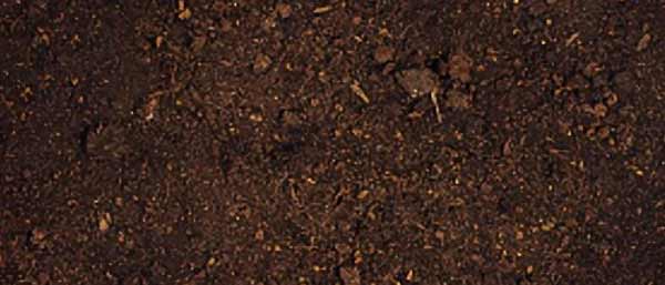 沈阳第三方检测介绍一下土壤重金属的检测标准