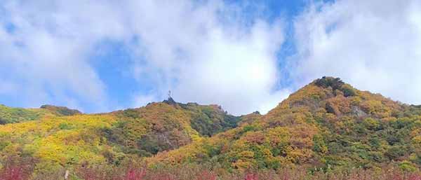 沈阳土壤检测都检测哪些内容？